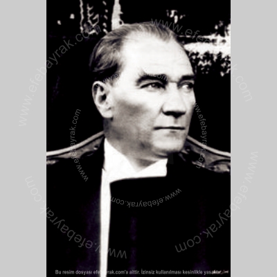 ATATÜRK POSTERİ NO 29-